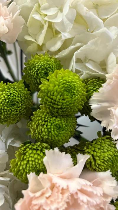 Составной букет с гортензией, дтантусами и хризантемой , фото 2